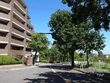 街路樹がきれいな敷地南東側の前面道路