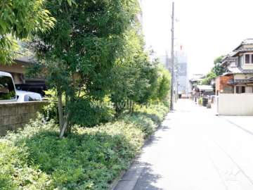 敷地の西側には植栽スペースが設けられています。