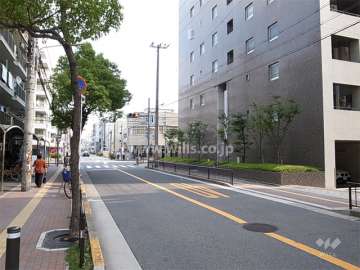 敷地北側の前面道路。街路樹のきれいな通りです。