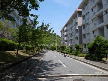 敷地北側の前面道路
