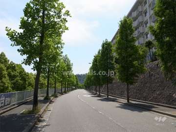 敷地南側の前面道路