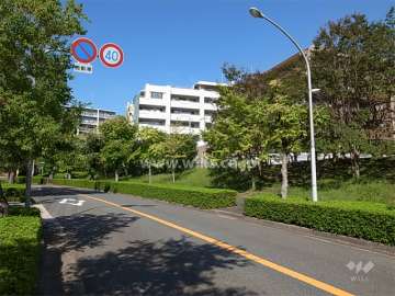 敷地の西側前面道路は歩道があり、街路樹がきれいです。