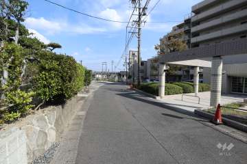 敷地北側の前面道路（西側から）