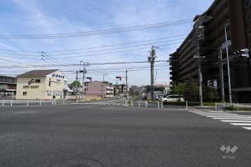 敷地北側の前面道路（西側から）