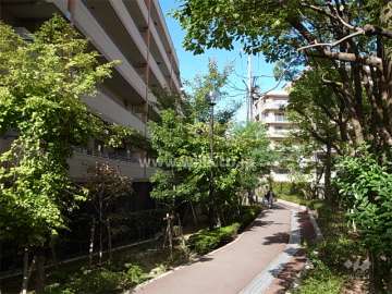 敷地の東側は緑道になっています。