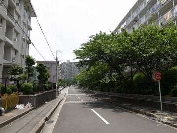 19号棟南側の前面道路