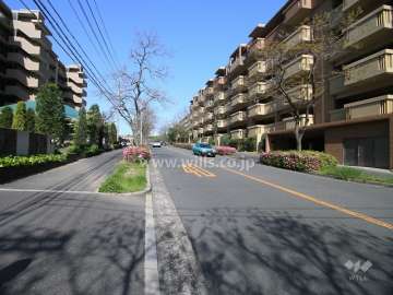 敷地南側の前面道路（東側から）