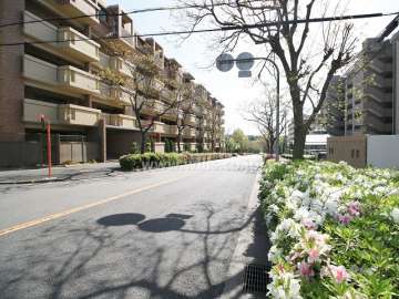 敷地南側の前面道路（西側から）