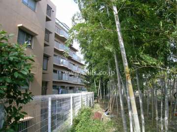 敷地の東側は竹林になっています。