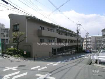 敷地の北側はバス通りに面しています。