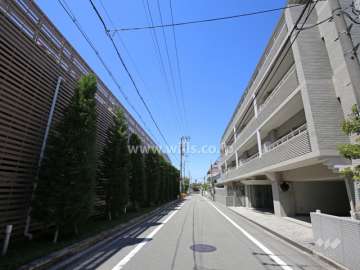 敷地南東側の前面道路。周辺は区画の整った閑静な住宅地です。