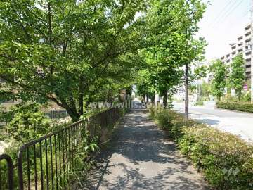 敷地の東側の通りは街路樹がきれいです。