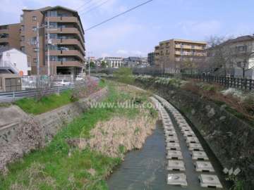 目の前に千里川が流れています