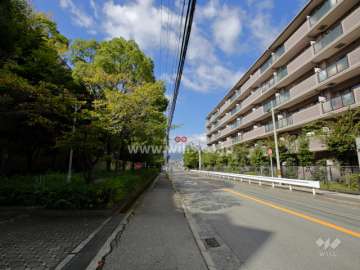 敷地南側の前面道路。道を挟んで、大阪芸術大学があります。