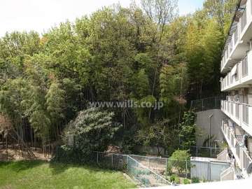 敷地の西側は山林、南側は一段低く抜けています。