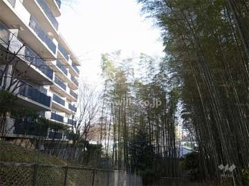 敷地の南側と西側には服部緑地の竹林が広がっています。