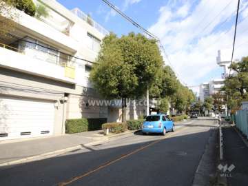 敷地南東側の前面道路。街路樹が並んでいます。