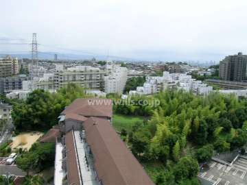 北側から見た千里山ロイヤルマンションの遠景