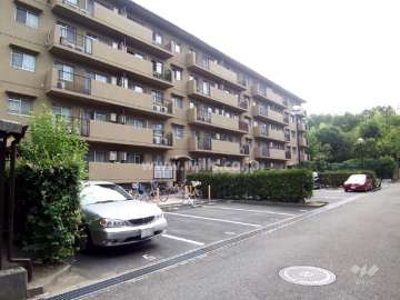 敷地内駐車場（平面式）