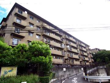 手前の道路がマンションへの進入口