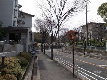 敷地北西側の前面道路。街路樹がきれいです。