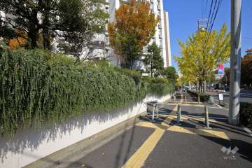 道路側の植栽スペース