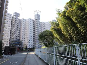 敷地北側には竹林があります。