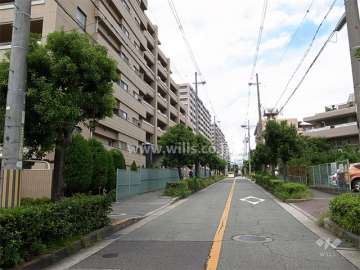 敷地東側の前面道路は街路樹のきれいな通りです。