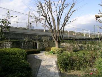 共用部分。植栽が豊かです。