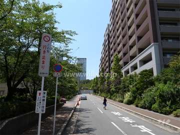 敷地南側の道路