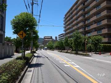 敷地の南側は国道176号線に面しています。