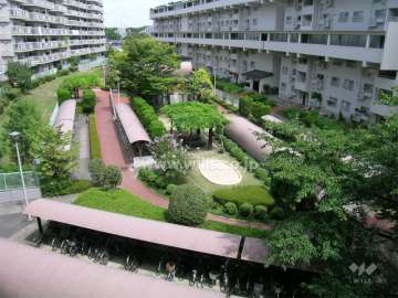 中庭