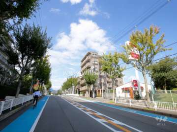 敷地西側の前面道路。街路樹の並ぶ通りです。