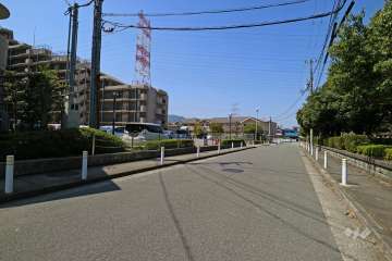 敷地北側の前面道路（西側から）