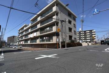 敷地南側と東側の前面道路（南東側から）