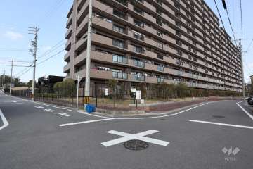 敷地南側と西側の前面道路（南西側から）