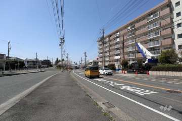 敷地南側の前面道路（東側から）