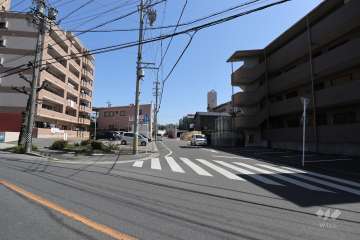 敷地南側の前面道路（西側から）