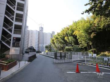 敷地西側には竹林があります。