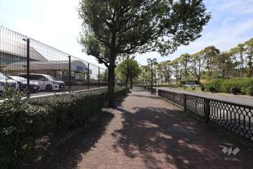 敷地北側の前面道路（東側から）