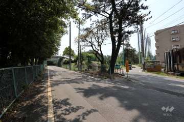 敷地南東側の前面道路（北東側から）