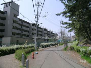 敷地北側には緑地があります。