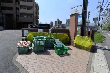 ゴミ置き場