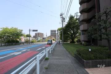敷地北西側の前面道路（南西側から）