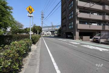 敷地西側の前面道路（南側から）