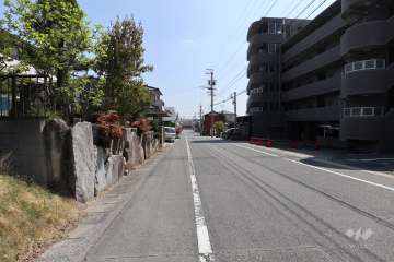敷地北側の前面道路（西側から）