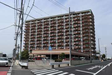 スペクトル大府