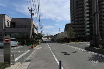 敷地東側の前面道路（北側から）