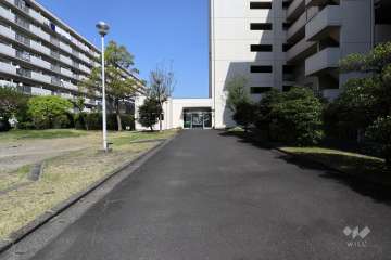 敷地北側の通路