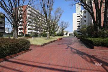 敷地西側の通路